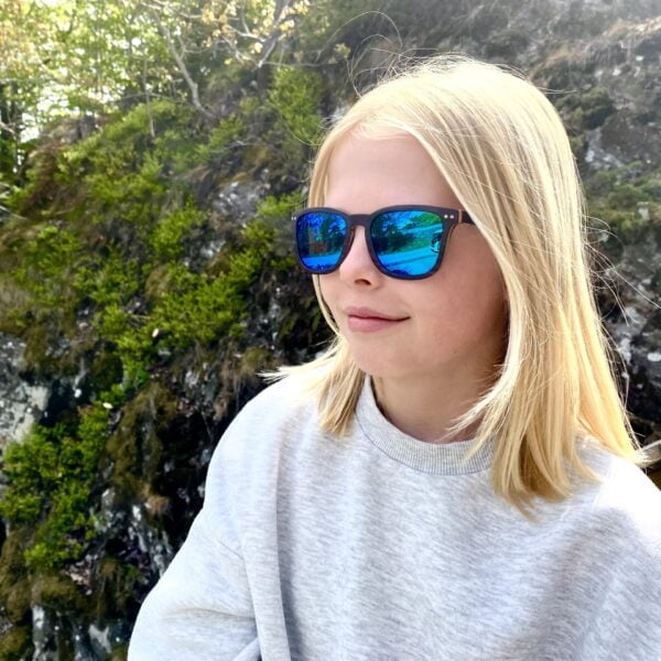 Bilde av “Skylleviga”
